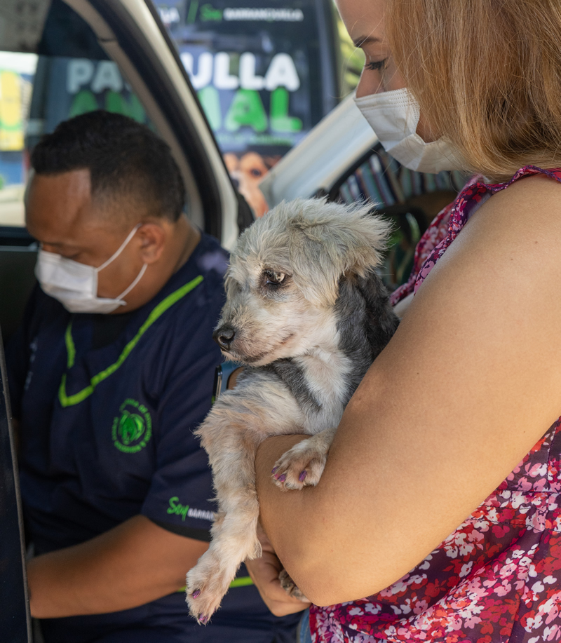 Un integrante de la Patrulla Animal sostiene a un perro pequeño
